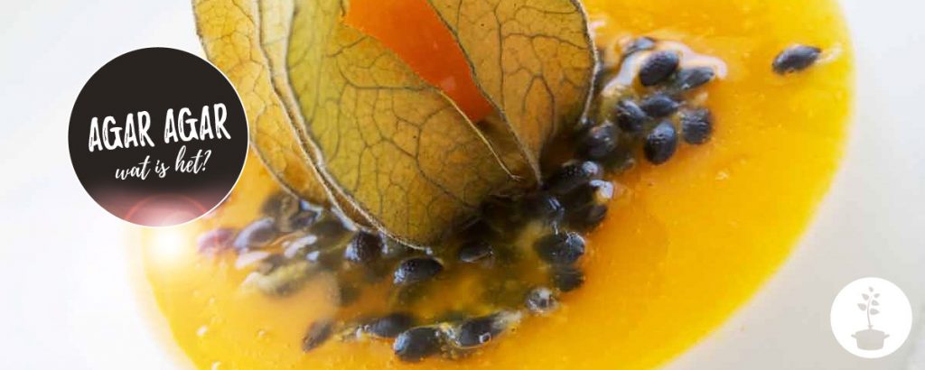 agar agar het gelatine alternatief