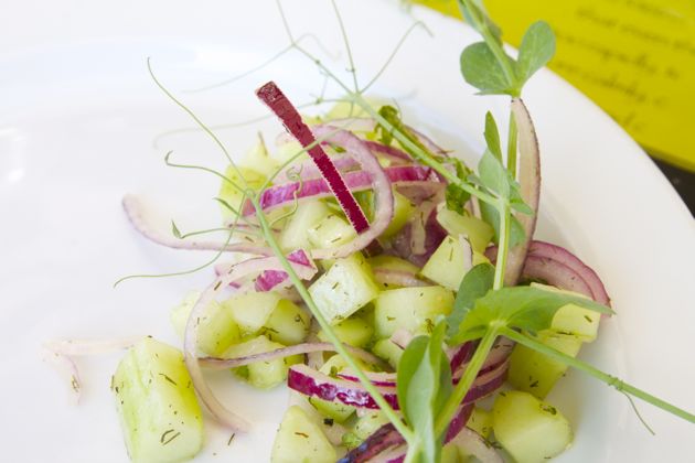 Salade komkommer rode ui dille erwtenscheuten