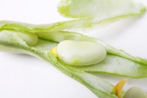 labboon tuinboon