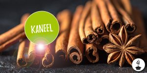 kaneel