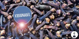 Kruidnagels