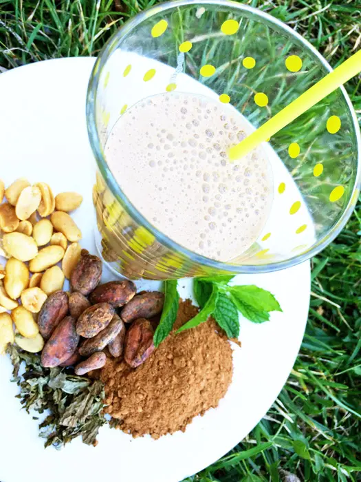 Zelfgemaakte vegan milkshake met pinda, cacao en munt