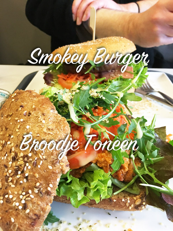 burger-broodje-vegaverso