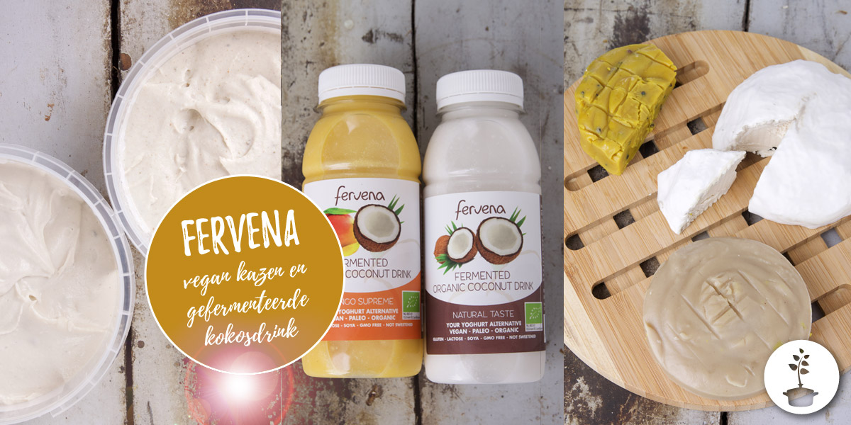 Fervena - vegan kaas en gefermenteerde kokosdrink