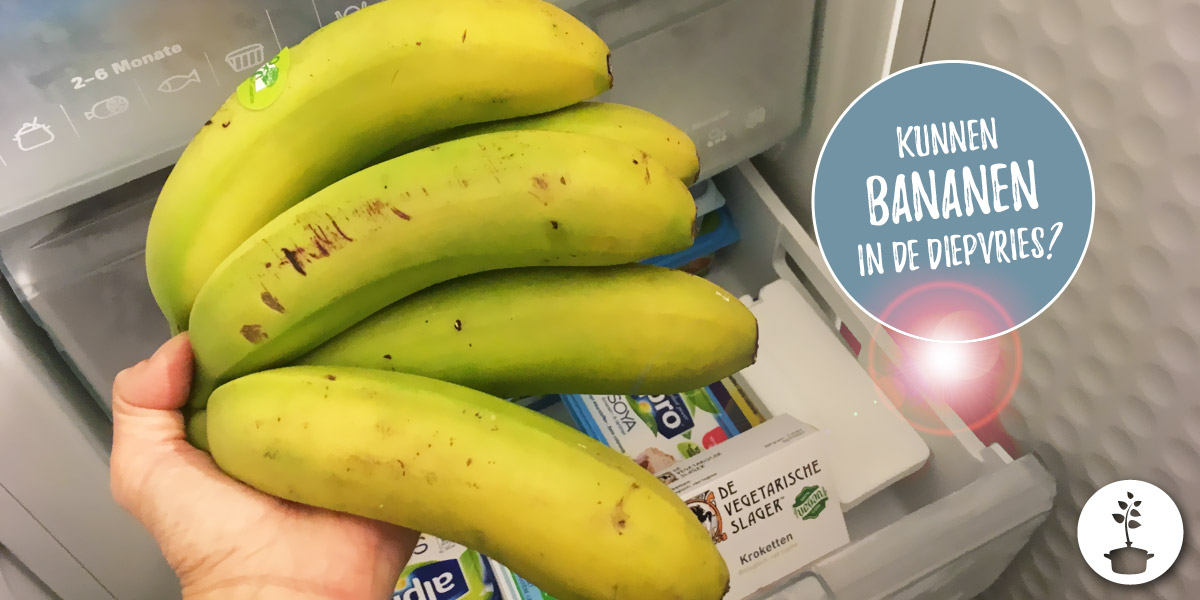 Kunnen bananen in de diepvries?