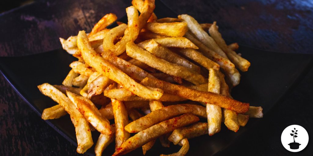 Beste airfryer 2020 - voor 1 persoon, voor gezin, zonder teflon