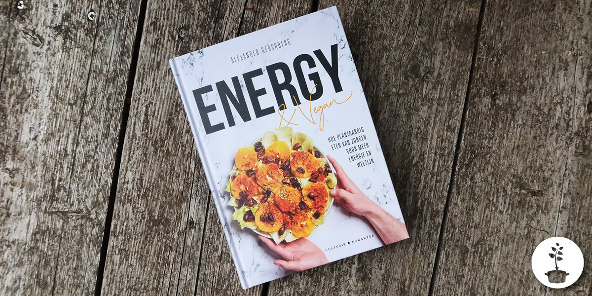 Energy & Vegan - Alexander Gershberg - review