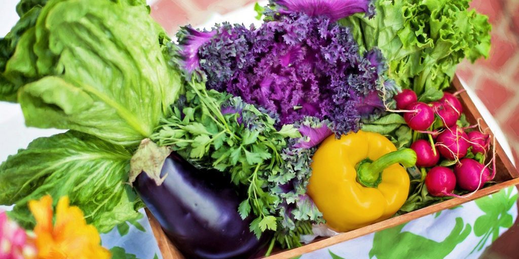 Whole food plant based - wat is het en tips voor beginners