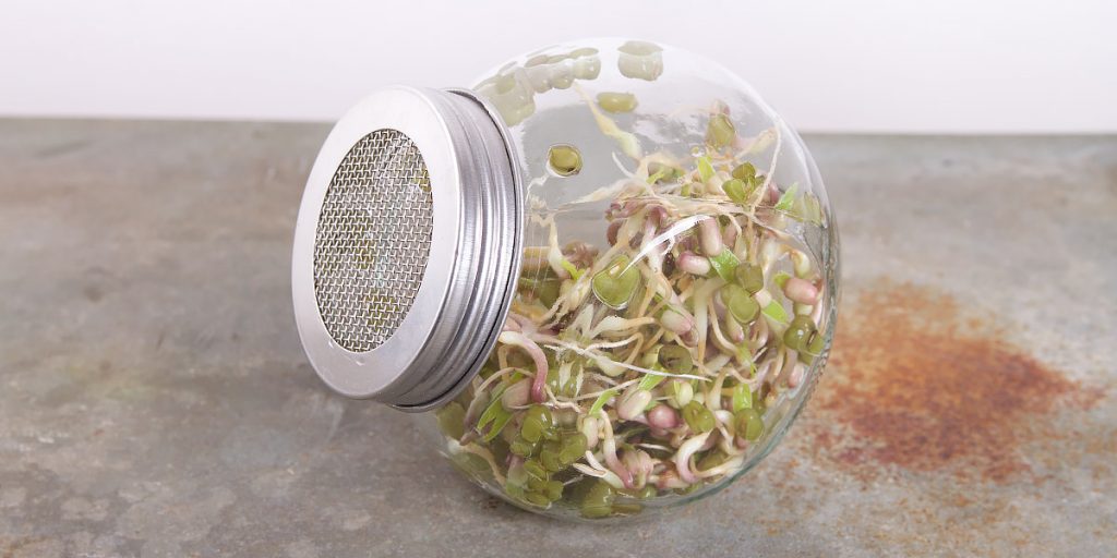 Buzzy review kiempot