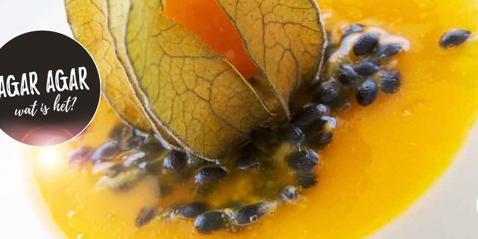 Agar Agar - alles wat je wil en moet weten over dit topproduct